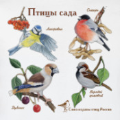 Птички с сад