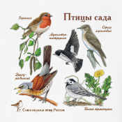 Птички с сад